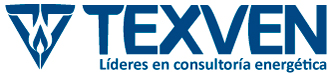 TEXVEN Consulting Logo